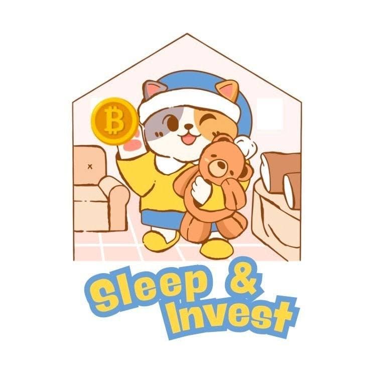 Sleepinvest logo